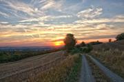 ../galleries/2018.08.17_Spaziergang_Nikolkausberg/DSC_9588.thumbnail.jpg