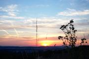 ../galleries/2018.08.17_Spaziergang_Nikolkausberg/DSC_9596.thumbnail.jpg