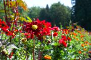 ../galleries/2018.08.29_Gardasee_Tag_3/DSC_9652.thumbnail.jpg