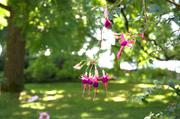 ../galleries/2018.08.29_Gardasee_Tag_3/DSC_9655.thumbnail.jpg