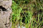 ../galleries/2018.09.01_Gardasee_Tag_6/DSC_9765.thumbnail.jpg