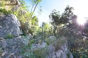 ../galleries/2018.09.04_Gardasee_Tag_9/DSC_9906.thumbnail.jpg
