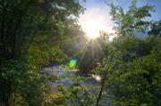 ../galleries/2018.09.11_Gardasee_Tag_16/DSC_0191.thumbnail.jpg