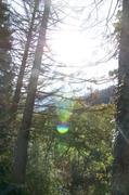 ../galleries/2018.09.13_Gardasee_Tag_18/DSC_0262.thumbnail.jpg