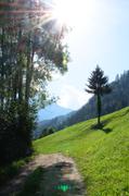 ../galleries/2018.09.13_Gardasee_Tag_18/DSC_0277.thumbnail.jpg