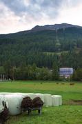 ../galleries/2018.09.13_Gardasee_Tag_18/DSC_0386.thumbnail.jpg