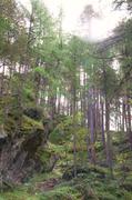 ../galleries/2018.09.14_Gardasee_Tag_19/DSC_0389.thumbnail.jpg