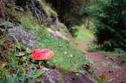 ../galleries/2018.09.14_Gardasee_Tag_19/DSC_0431.thumbnail.jpg