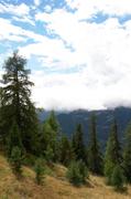 ../galleries/2018.09.14_Gardasee_Tag_19/DSC_0442.thumbnail.jpg