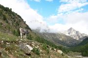 ../galleries/2018.09.14_Gardasee_Tag_19/DSC_0457.thumbnail.jpg