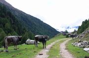 ../galleries/2018.09.14_Gardasee_Tag_19/DSC_0465.thumbnail.jpg