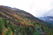 ../galleries/2018.09.14_Gardasee_Tag_19/DSC_0506_01.thumbnail.jpg