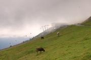 ../galleries/2018.09.15_Gardasee_Tag_20/DSC_0563.thumbnail.jpg