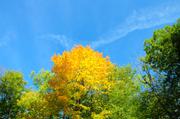 ../galleries/2018.10.06_Herbstblaetter/DSC_0768.thumbnail.jpg