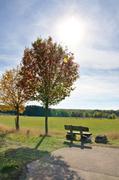 ../galleries/2018.10.06_Herbstblaetter/DSC_0791.thumbnail.jpg