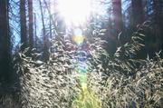 ../galleries/2018.10.13_Harzwanderung/DSC_0830.thumbnail.jpg