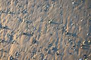 ../galleries/2018.11.16_Norderney_Tag_1/DSC_1072.thumbnail.jpg