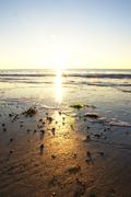 ../galleries/2018.11.16_Norderney_Tag_1/DSC_1138.thumbnail.jpg