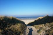 ../galleries/2018.11.17_Norderney_Tag_2/DSC_1271.thumbnail.jpg
