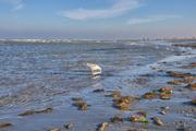 ../galleries/2018.11.17_Norderney_Tag_2/DSC_1350.thumbnail.jpg