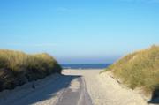 ../galleries/2018.11.17_Norderney_Tag_2/DSC_1431.thumbnail.jpg