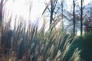 ../galleries/2018.11.25_Botanischer_Garten/DSC_0099.thumbnail.jpg