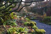 ../galleries/2018.11.25_Botanischer_Garten/DSC_0107.thumbnail.jpg