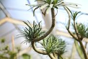 ../galleries/2018.11.25_Botanischer_Garten/DSC_0120.thumbnail.jpg