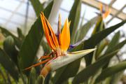 ../galleries/2018.11.25_Botanischer_Garten/DSC_0124.thumbnail.jpg