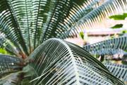 ../galleries/2018.11.25_Botanischer_Garten/DSC_0142.thumbnail.jpg
