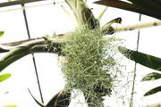 ../galleries/2018.11.25_Botanischer_Garten/DSC_0146.thumbnail.jpg