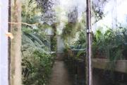 ../galleries/2018.11.25_Botanischer_Garten/DSC_0160.thumbnail.jpg