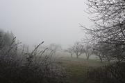 ../galleries/2018.12.28_Spaziergang_im_Taunus/DSC_0390.thumbnail.jpg