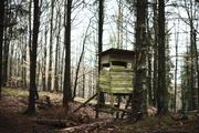 ../galleries/2019.01.06_Harzwanderung_Scharzfeld/DSC_0506.thumbnail.jpg