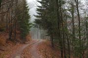 ../galleries/2019.01.06_Harzwanderung_Scharzfeld/DSC_0512.thumbnail.jpg