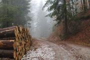 ../galleries/2019.01.06_Harzwanderung_Scharzfeld/DSC_0513.thumbnail.jpg