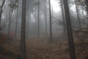 ../galleries/2019.01.06_Harzwanderung_Scharzfeld/DSC_0516.thumbnail.jpg