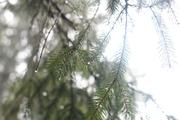 ../galleries/2019.01.06_Harzwanderung_Scharzfeld/DSC_0523.thumbnail.jpg