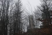../galleries/2019.01.06_Harzwanderung_Scharzfeld/DSC_0524.thumbnail.jpg