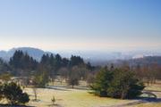 ../galleries/2019.01.20_Experimenteller_Botanischer_Garten/DSC_0568.thumbnail.jpg