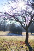 ../galleries/2019.01.20_Experimenteller_Botanischer_Garten/DSC_0582.thumbnail.jpg