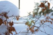 ../galleries/2019.02.03_Harz_St._Andreasberg/DSC_1836.thumbnail.jpg