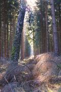 ../galleries/2019.02.16_Spaziergang_in_Hann._Münden/DSC_0821.thumbnail.jpg