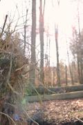 ../galleries/2019.02.16_Spaziergang_in_Hann._Münden/DSC_0832.thumbnail.jpg