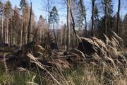 ../galleries/2019.02.16_Spaziergang_in_Hann._Münden/DSC_0836.thumbnail.jpg