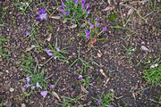 ../galleries/2019.02.23_Spaziergang_Weende/DSC_0837.thumbnail.jpg