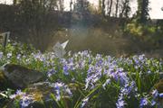 ../galleries/2019.03.21_Experimenteller_Botanischer_Garten/DSC_0881.thumbnail.jpg
