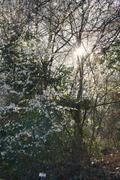 ../galleries/2019.03.21_Experimenteller_Botanischer_Garten/DSC_0887.thumbnail.jpg
