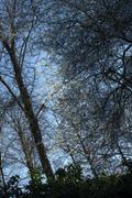 ../galleries/2019.03.21_Experimenteller_Botanischer_Garten/DSC_0894.thumbnail.jpg