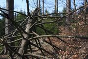 ../galleries/2019.03.23_Hoher_Meissner/DSC_0911.thumbnail.jpg